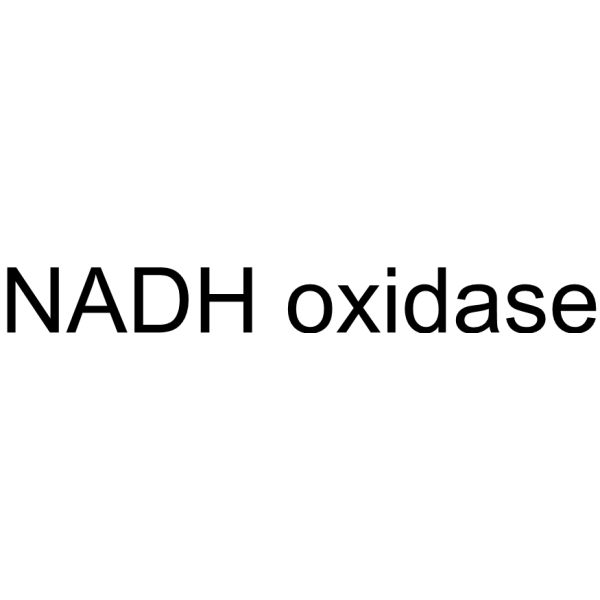NADH oxidase 9032-21-7
